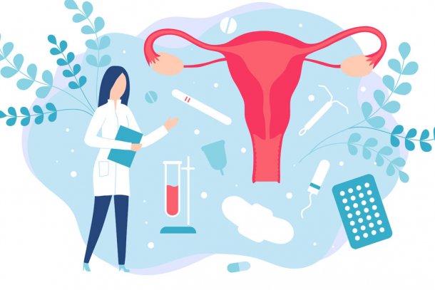 illustratie vagina